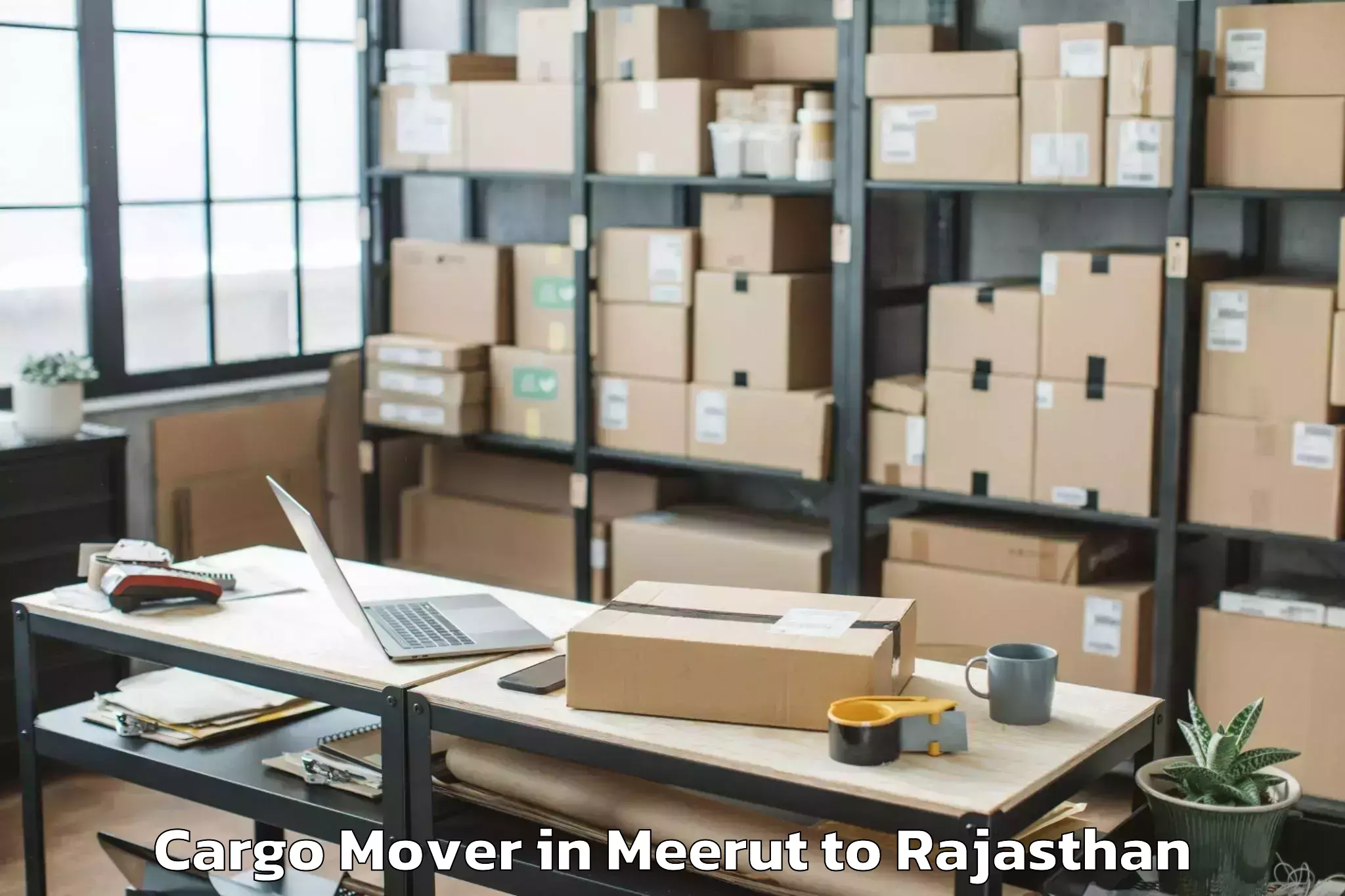 Easy Meerut to Gudha Malani Cargo Mover Booking